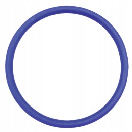 Oring x548958479000 fendt