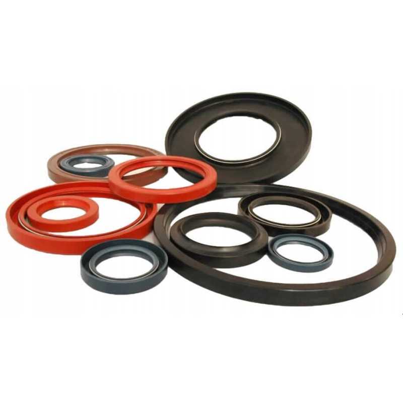 Troškinantis sandariklis 60x75x8 troškinantis 60x75x