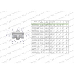 Colinė hidraulinė jungtis bb 1 8 BSP Warynski