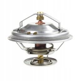 Termostato mf 4224624m1 keitimas