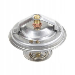 Termostato mf 4224624m1 keitimas