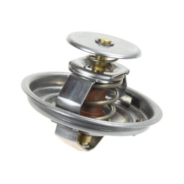 Termostato mf 4224624m1 keitimas