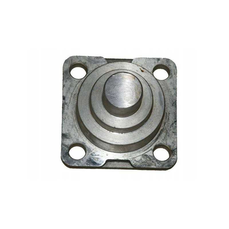 Apatinis ir viršutinis priekiniai kaiščiai 04415055 de