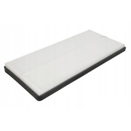 Fleetguard AF55846 oro filtras