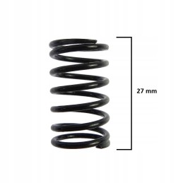 Skirstytuvo spyruoklė C 360 Archimedes