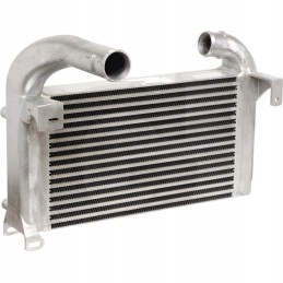 Fendt h339202190100 tarpinis aušintuvas