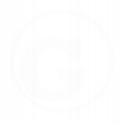 Fleetguard alyvos filtras 1560133021