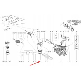 1000106891 gali variklio kuro filtras