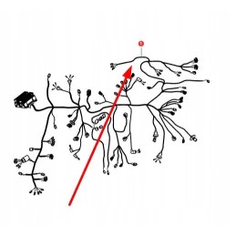 Va339780 laidų rinkinys