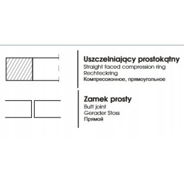 Chromuotas žiedas c 330 102 00x2 5x4 4