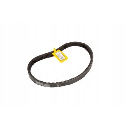 La340434138 antgalio pavaros dantytas diržas