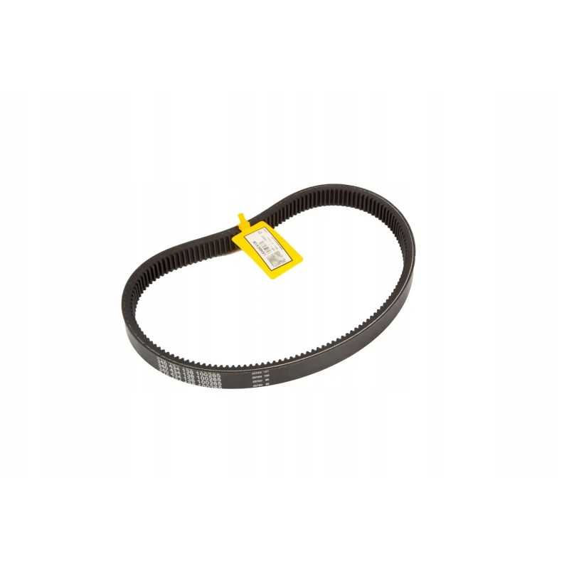 La340434138 antgalio pavaros dantytas diržas