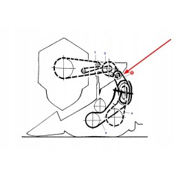 La340434138 antgalio pavaros dantytas diržas