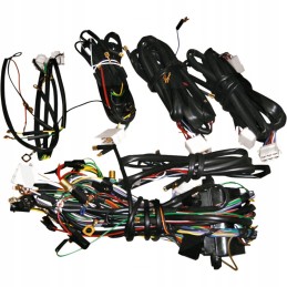 Elektros instaliacija kombinuota mf 235 255 ursus