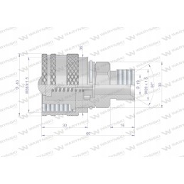 Vožtuvo kamštis m20x1 5 prisukami zsr6m20wtk waryns