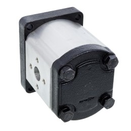 Hidraulinio siurblio korpusas 25 cc 1967851c1 20c25x006f