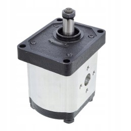 Hidraulinio siurblio korpusas 25 cc 1967851c1 20c25x006f