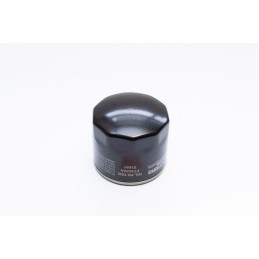 SP4388 Coopers Fiaam alyvos filtras