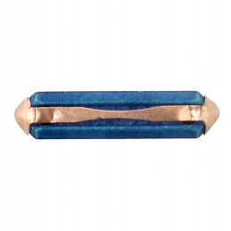 25A mėlynas saugiklis, 100 vnt