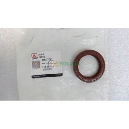 Massey Ferguson sandariklis 3382237m1