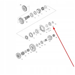 Gbt283 nf208 1 eilės cilindrinis ritininis guolis