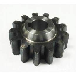 Apskritimas su 13 Neptūno