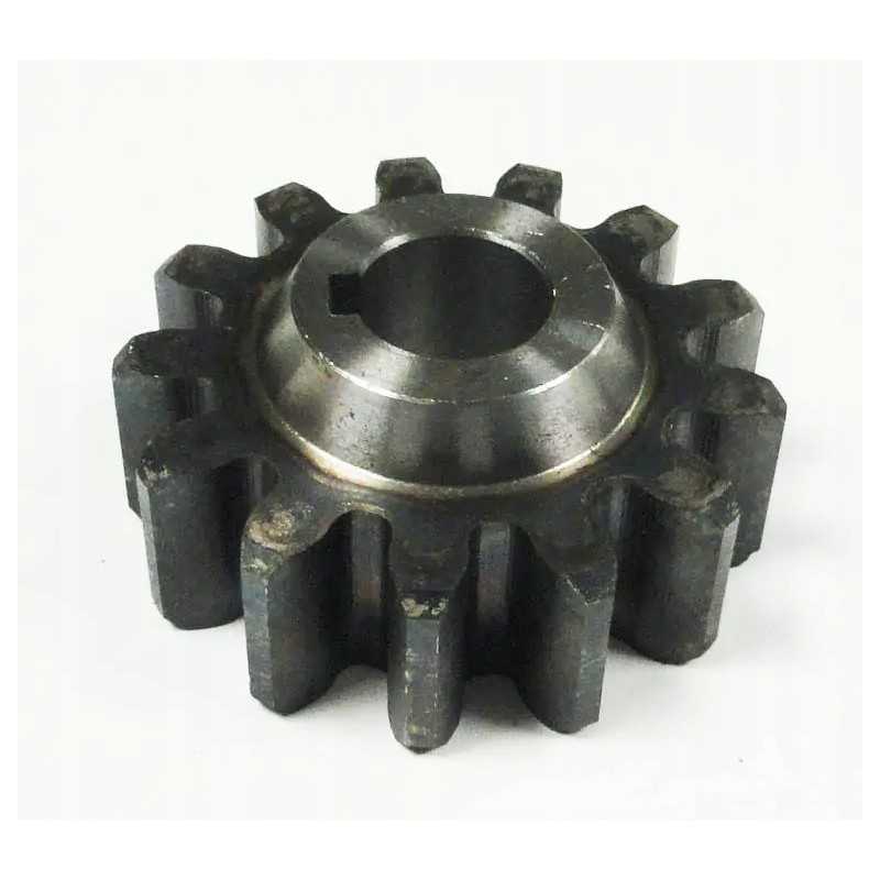 Apskritimas su 13 Neptūno