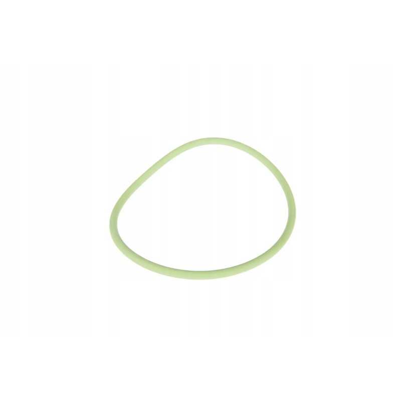 X548968200000 alyvos vamzdžio sandarinimo žiedas prieš