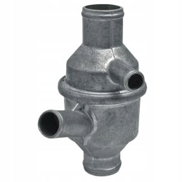 Termostatas Renault 6005004616 6005000004