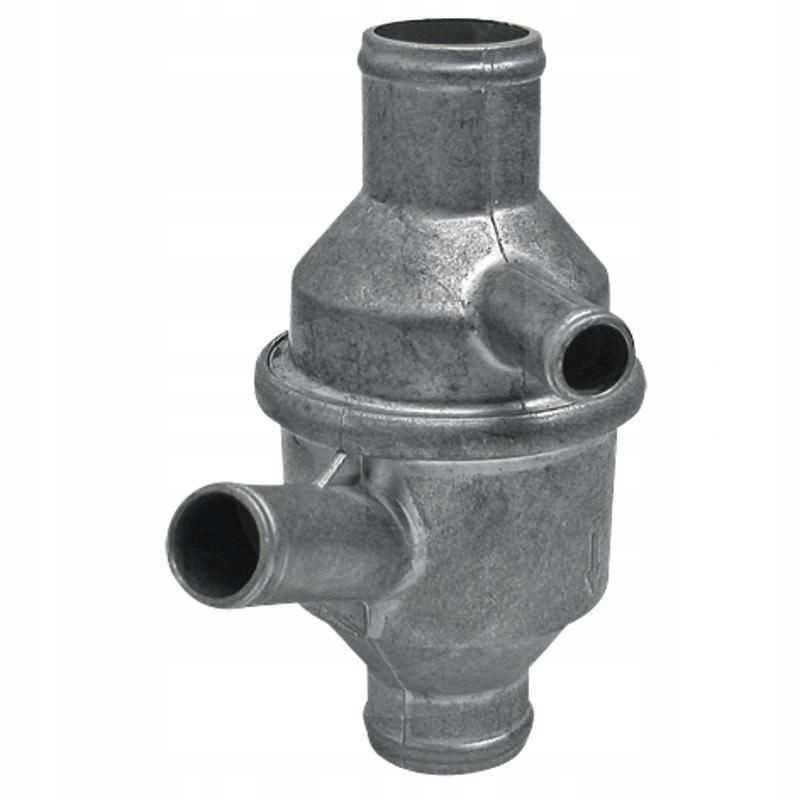 Termostatas Renault 6005004616 6005000004