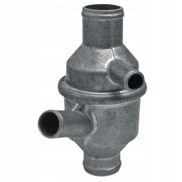 Termostatas Renault 6005004616 6005000004