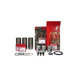 Vpb9002 massey fergosun variklio remonto komplektas