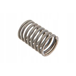 55102006 prailginimo spyruoklė l 193mm