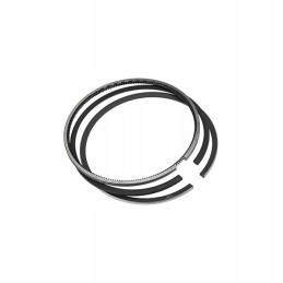 Vpb4059 stūmoklio žiedų rinkinys m fergosun