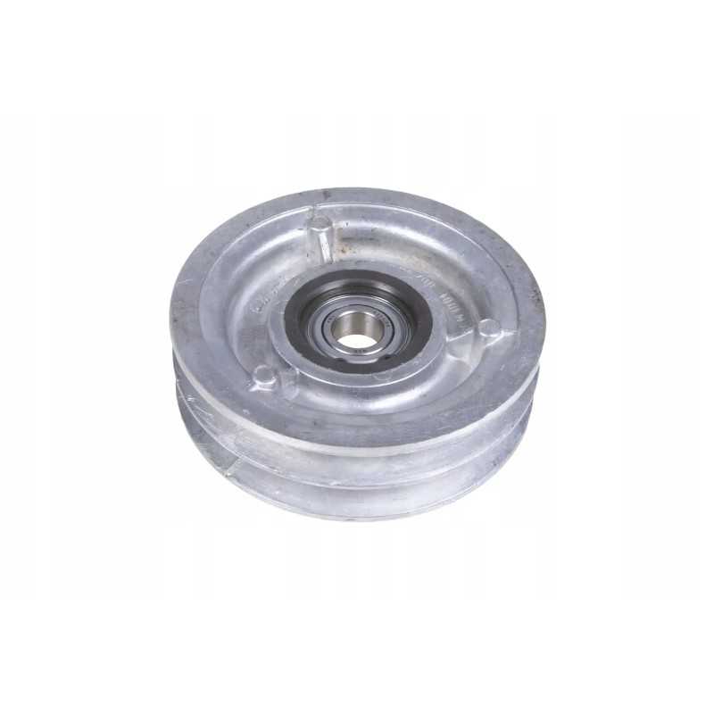 100022421 skriemulys