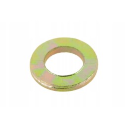 40029567 dujų pedalo poveržlė