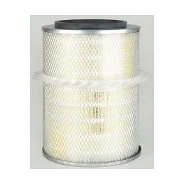 Zew Donaldson oro filtro įdėklas P776497