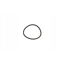 Alyvos užpildymo sandariklis iveco kasdien 2 8