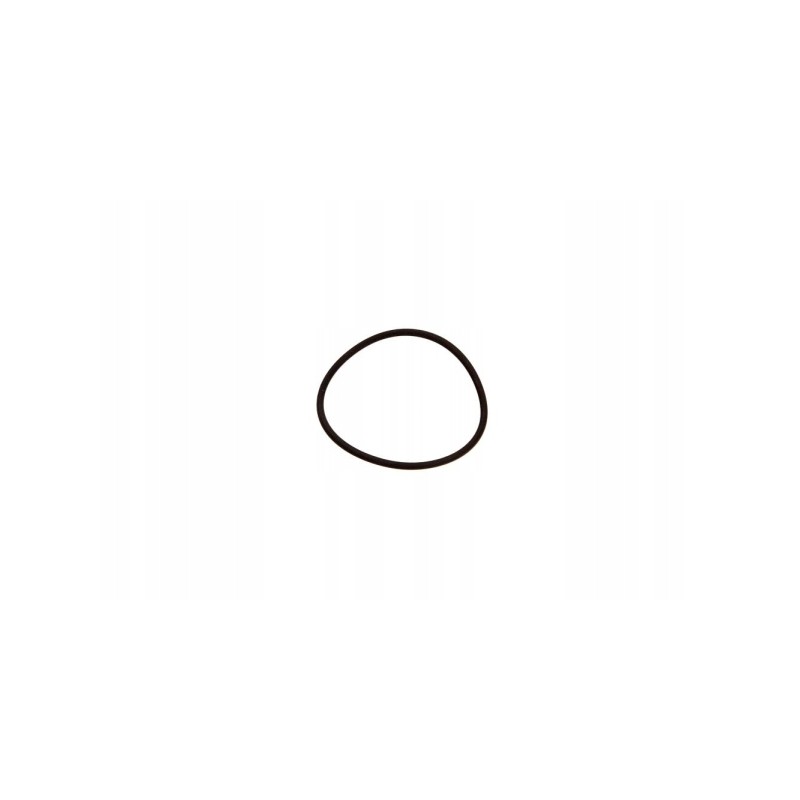 Alyvos užpildymo sandariklis iveco kasdien 2 8