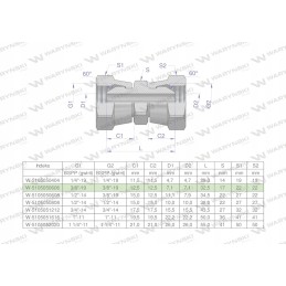 Colinė hidraulinė jungtis AA 3 8 BSP Warynski