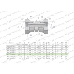 Colinė hidraulinė jungtis AA 3 4 Warynski BSP