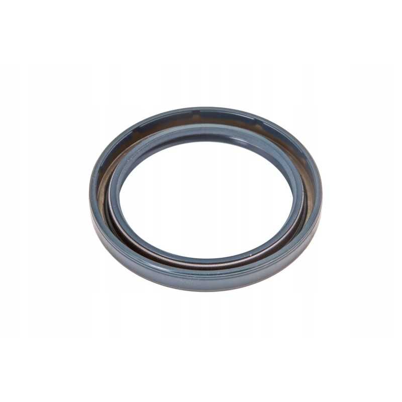 X550108904000 Polosi Agco alyvos sandariklis