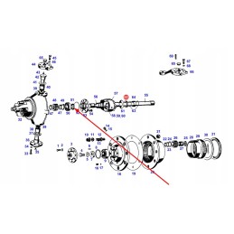 X550108904000 Polosi Agco alyvos sandariklis