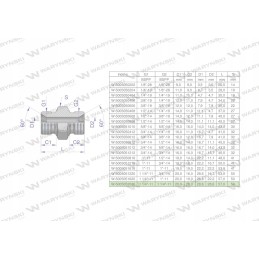 Colinė hidraulinė jungtis bb 1 1 4 BSP Warynski