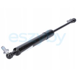 Dujų amortizatoriaus pavara a 345 b 170 f 250n