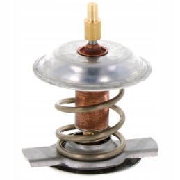 Deutz Fahr Agrotron termostatas 04204796