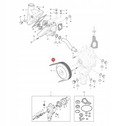 Massey Ferguson V685041022 trapecinis diržas originalus
