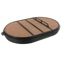 Donaldson oro filtras p607557