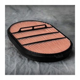 Donaldson oro filtras p607557