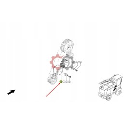 Lygus trupintuvo pavaros skriemulys 090172